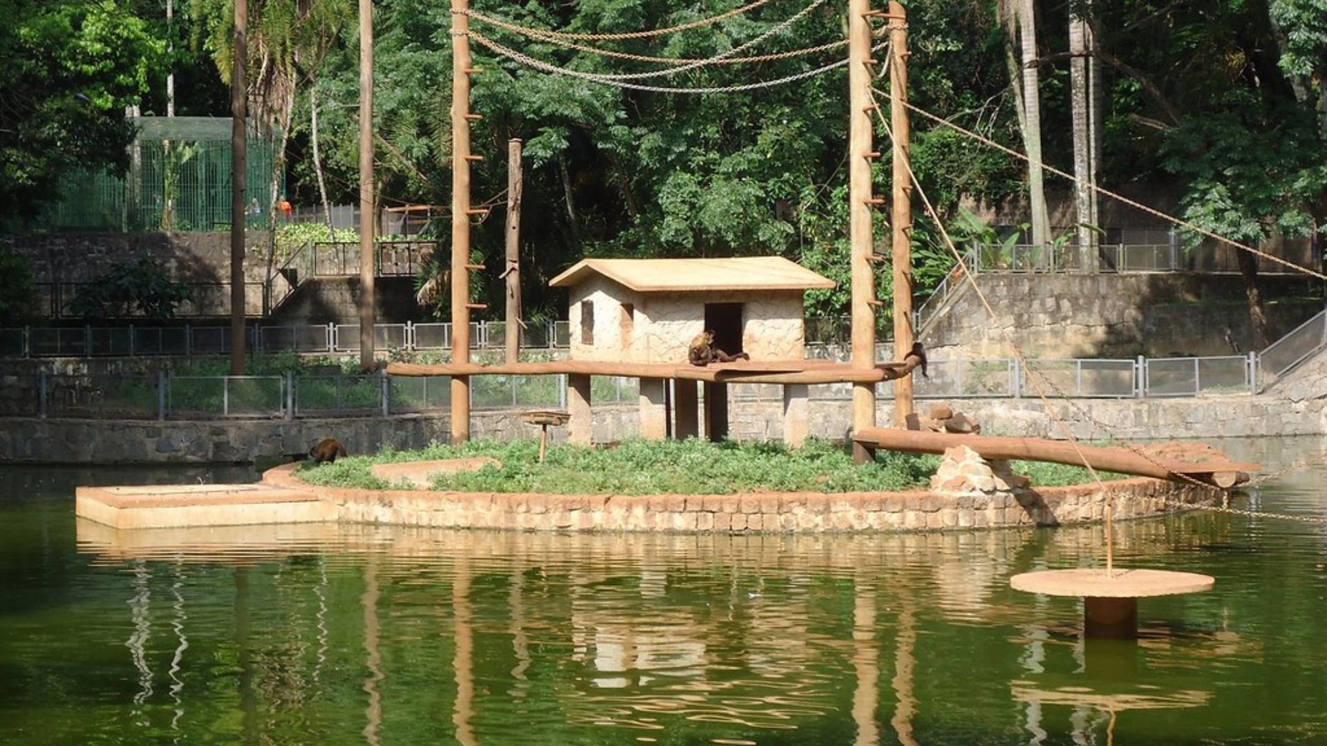 Parque Bosque dos Jequitibás Tudo Em Campinas