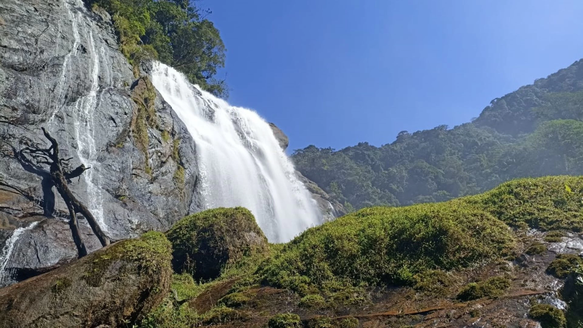 Tudoem Ilhabela