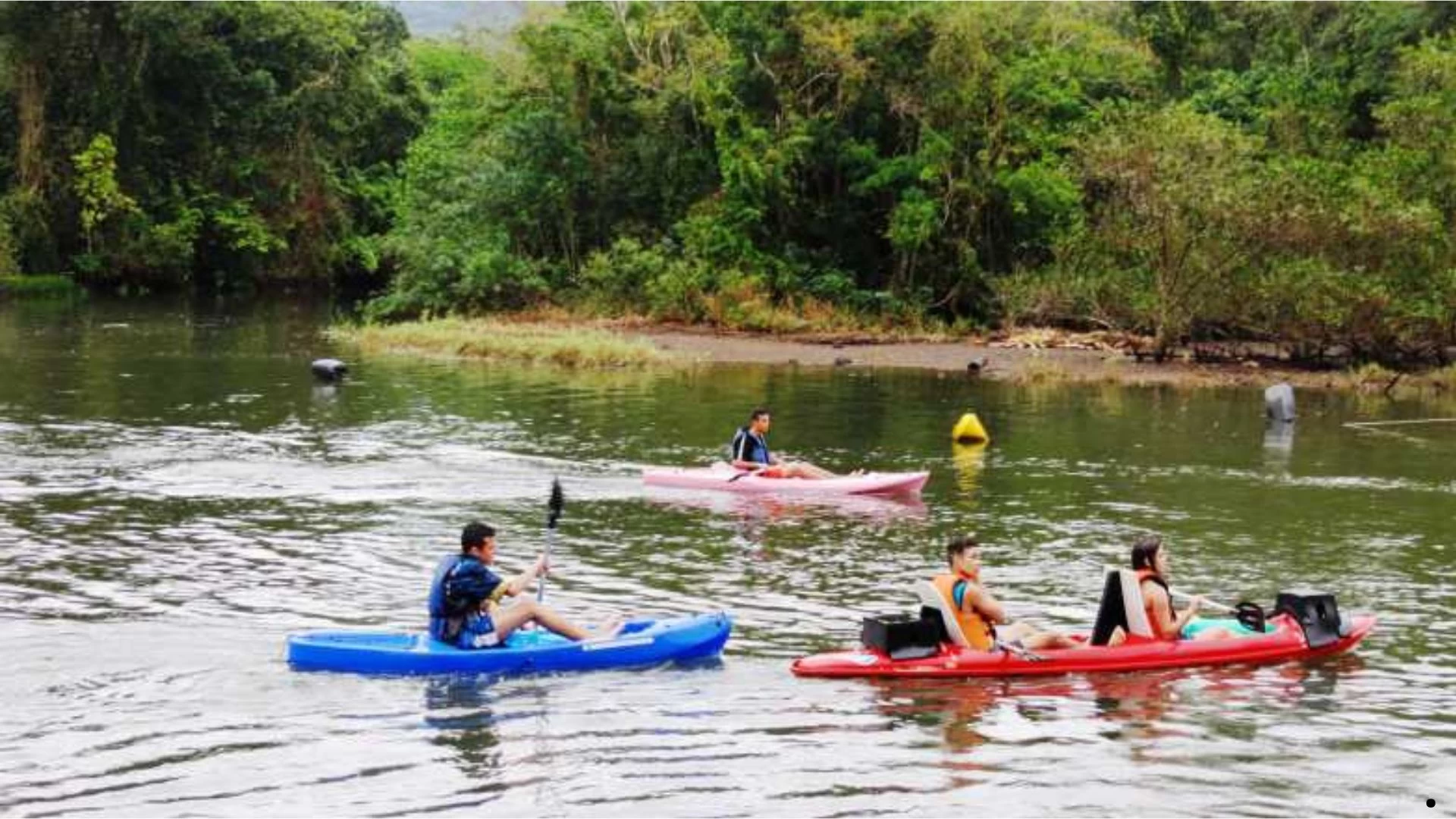 Tudoem Ilhabela