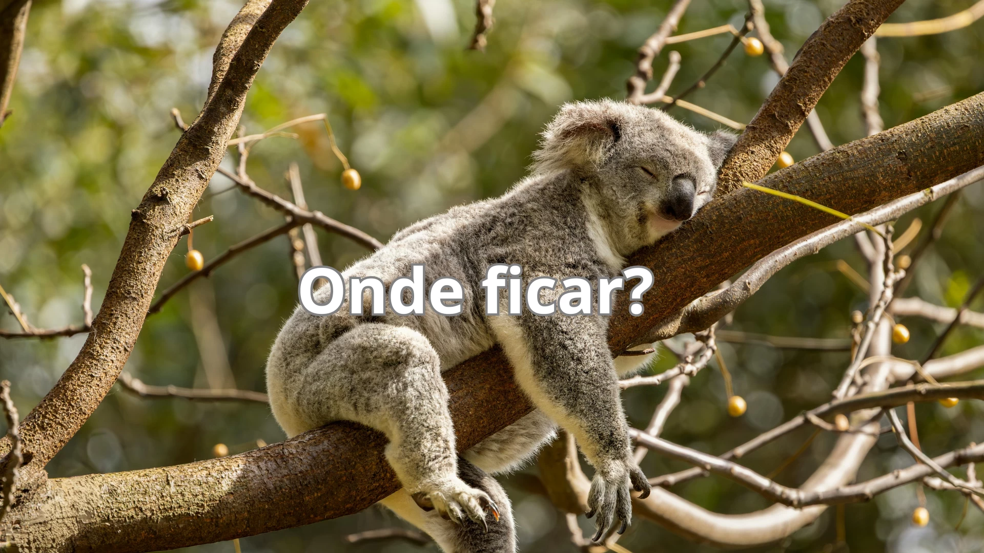 Onde ficar em Bertioga