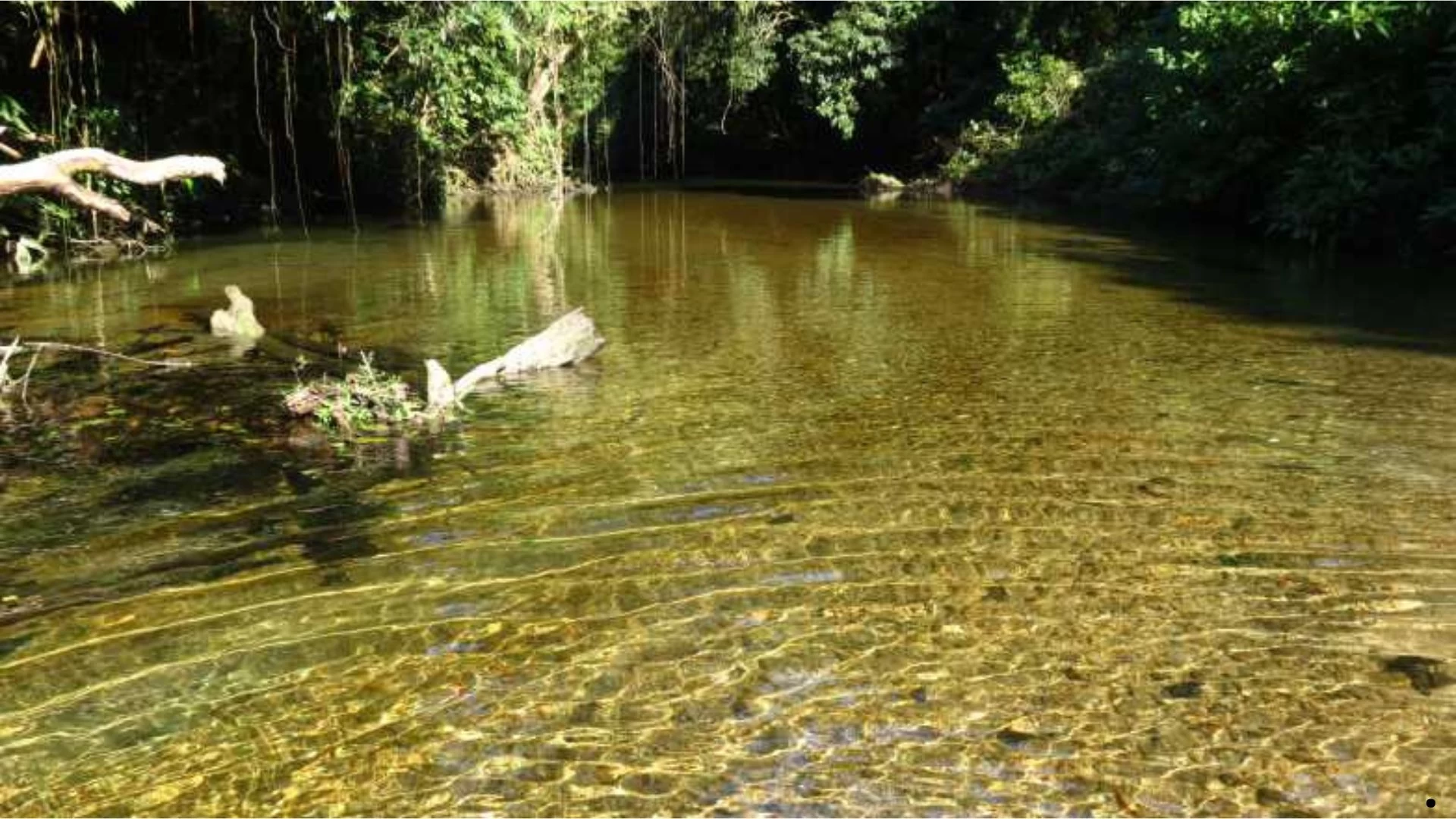 Tudoem Ilhabela