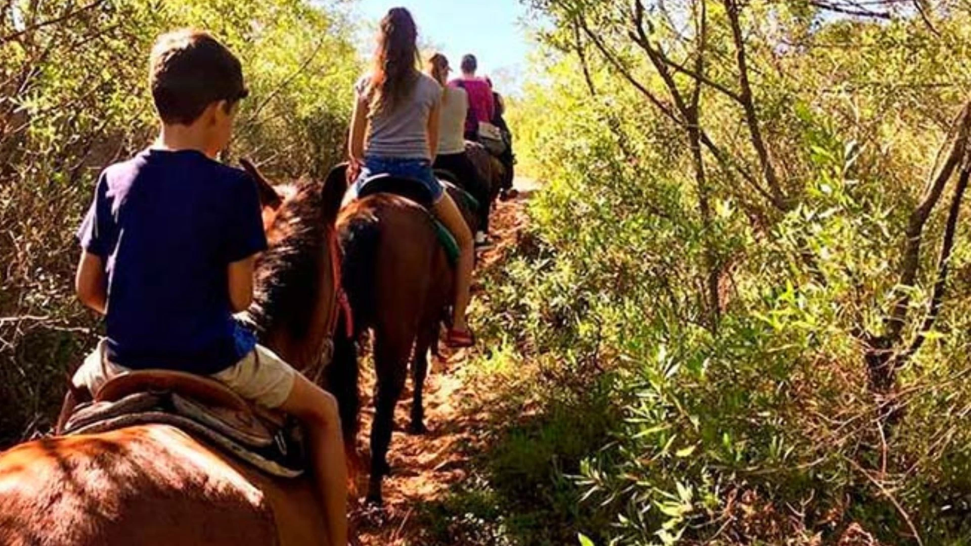 Passeio a Cavalo