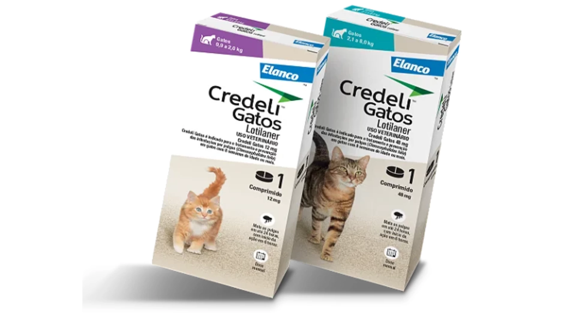 Credeli Gatos
