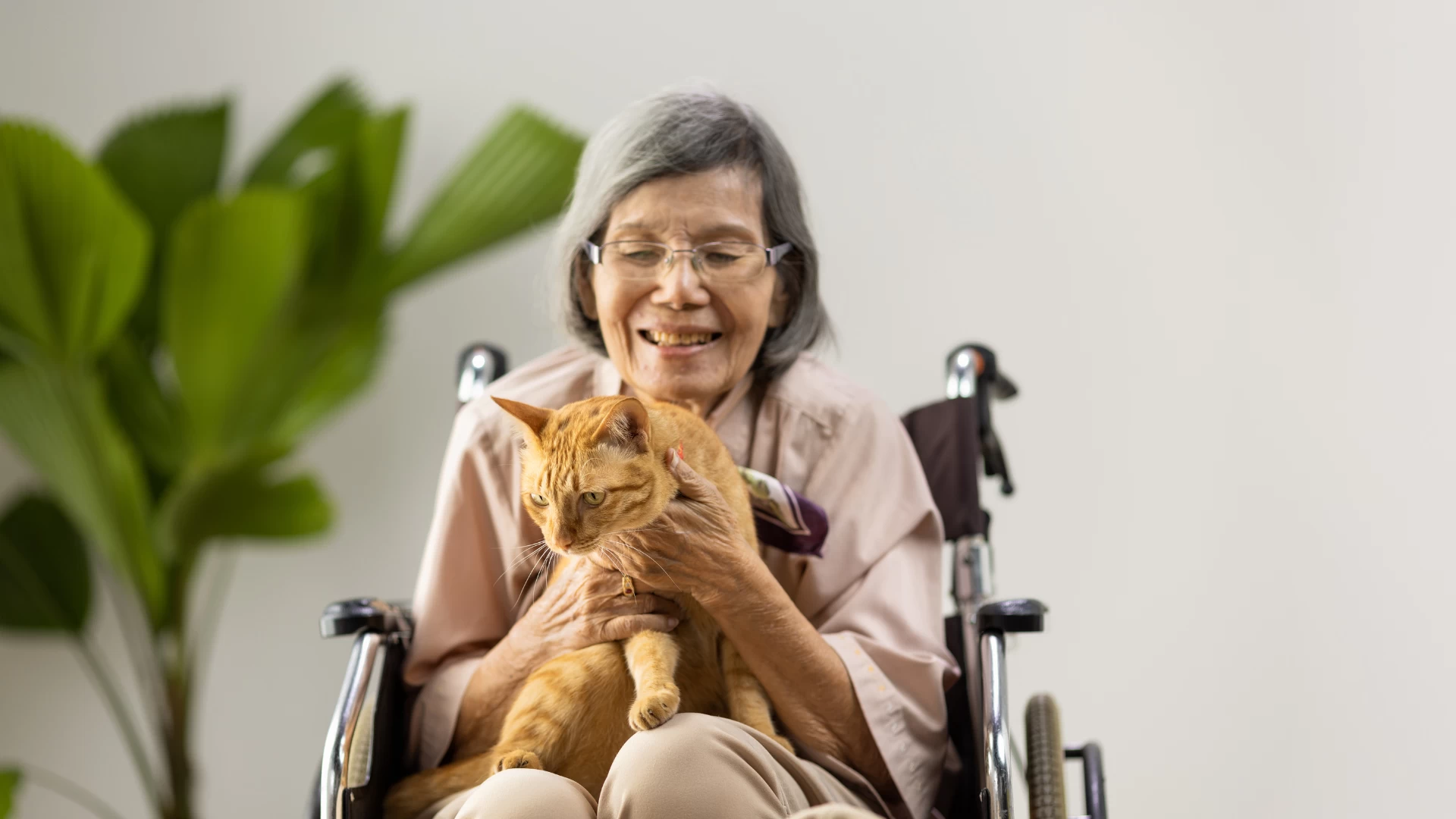 Estimulação cognitiva 