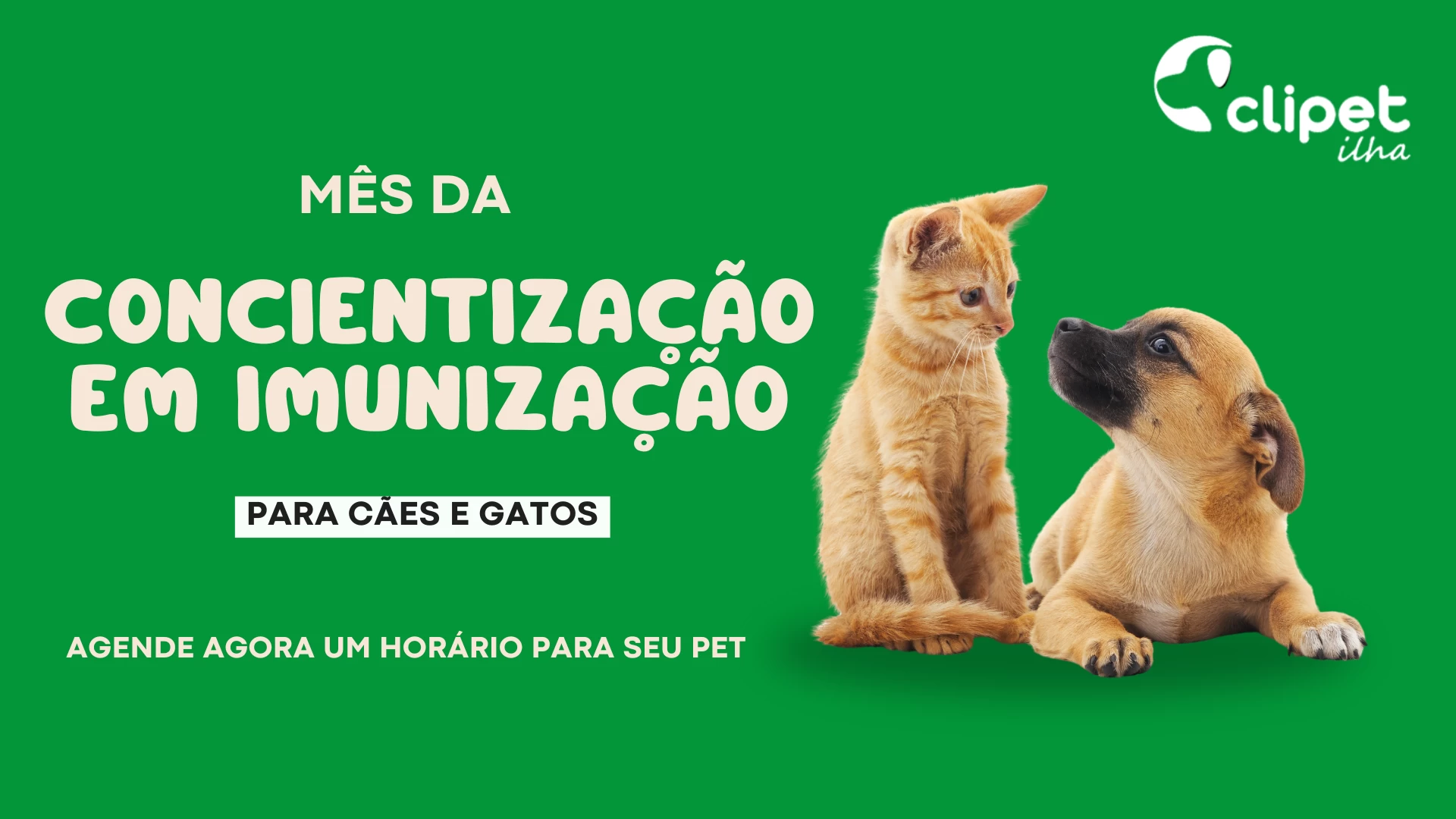 Imunização  Caes e Gatos